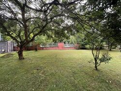 Lornie Road (D11), Semi-Detached #458170361